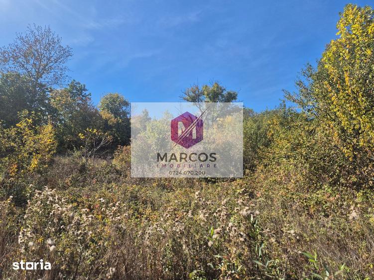 Teren de 1534 mp, în Central