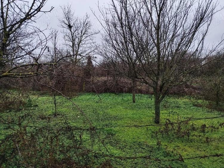 Casă cu Teren 2914 Mp în Bărcănești