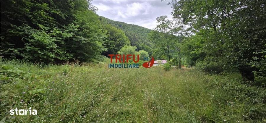 Teren de 4574 mp, în Poiana Galdei