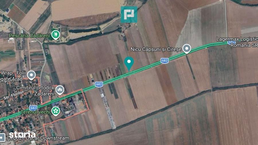 Teren de 10000 mp, în Zădăreni