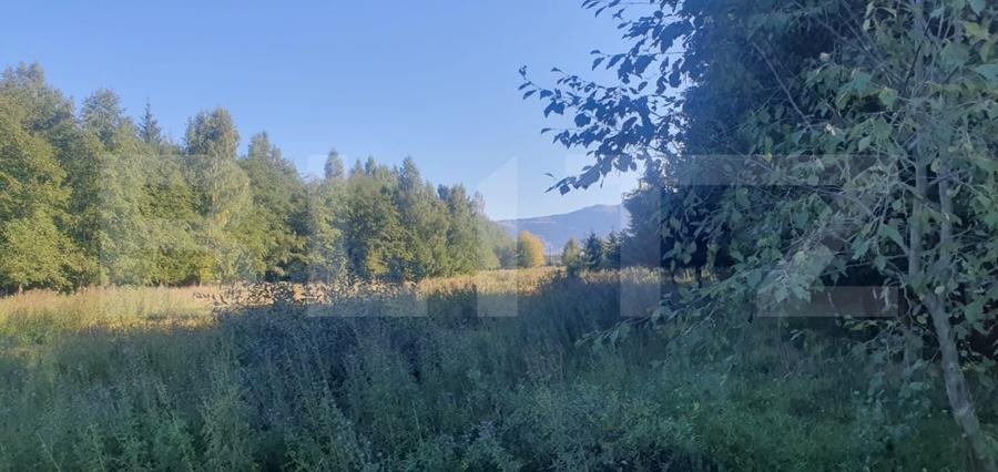 Teren Construcții intravilan de 14540 mp, în Vatra Dornei