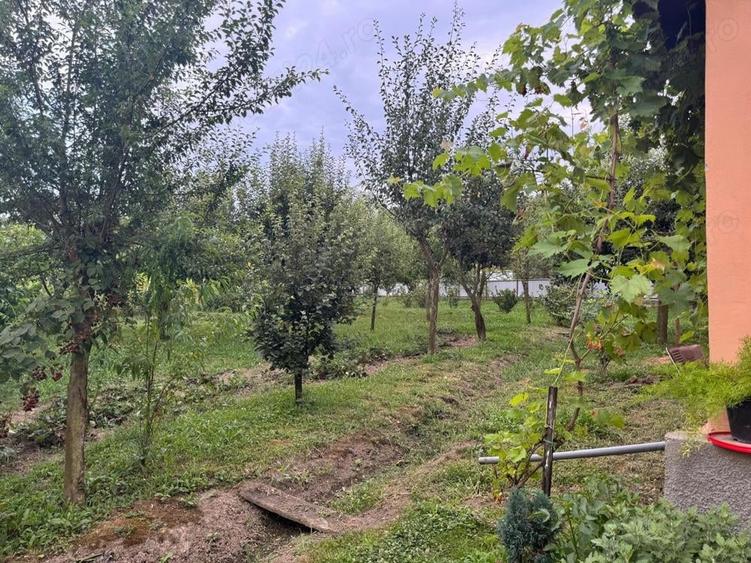 Casă cu 3 camere cu Teren 5200 Mp în Țela