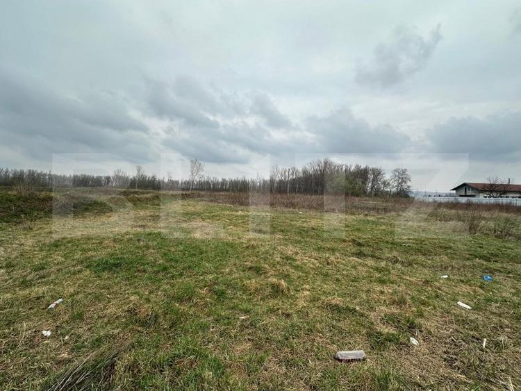 Teren Construcții intravilan de 4844 mp, în Periferie