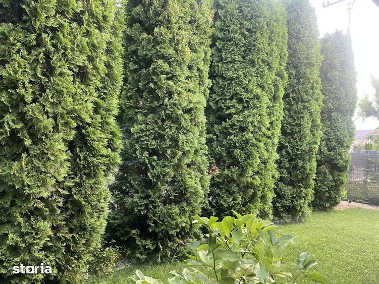 Casă cu 5 camere cu Teren 503 Mp în Șerbănești