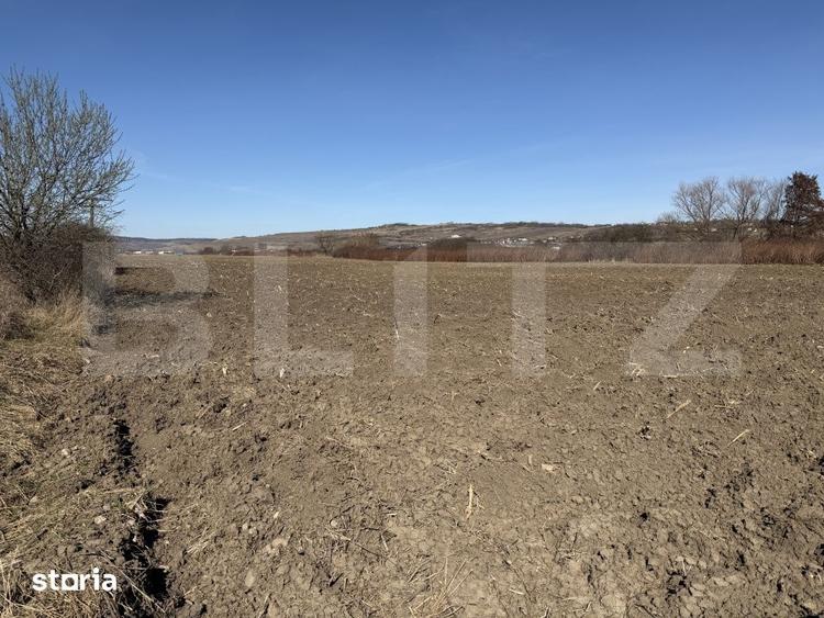Teren de 4000 mp, în Hereclean
