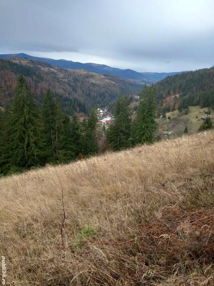 Teren de 3876 mp, în Gârda de Sus