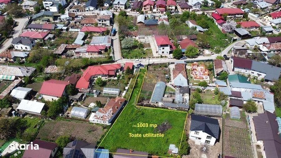TEREN RAR DE 1.003 MP O OAZA DE VERDEA?A IN MIJLOCUL COMUNEI BERCENI - 3