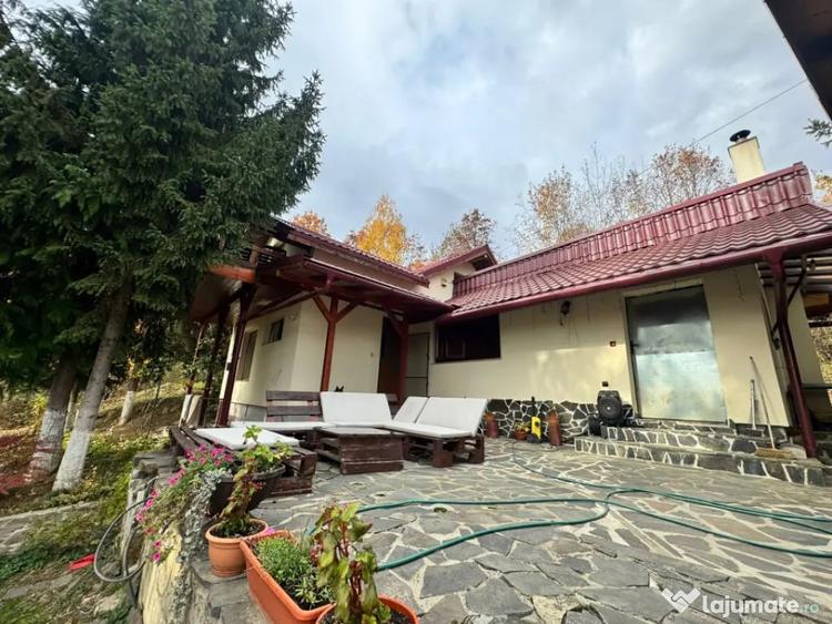 Casă cu 4 camere cu Teren 1527 Mp în Tăuții de Sus