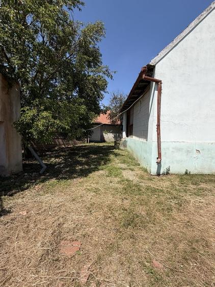 Casa de vanzare - Presaca, com. Pauca, jud. Sibiu - 8