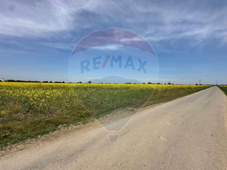 Teren Construcții intravilan de 545000 mp, în Dragomirești-Vale