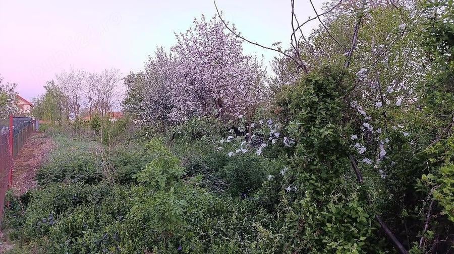 Teren de 1000 mp, în Ictar-Budinți
