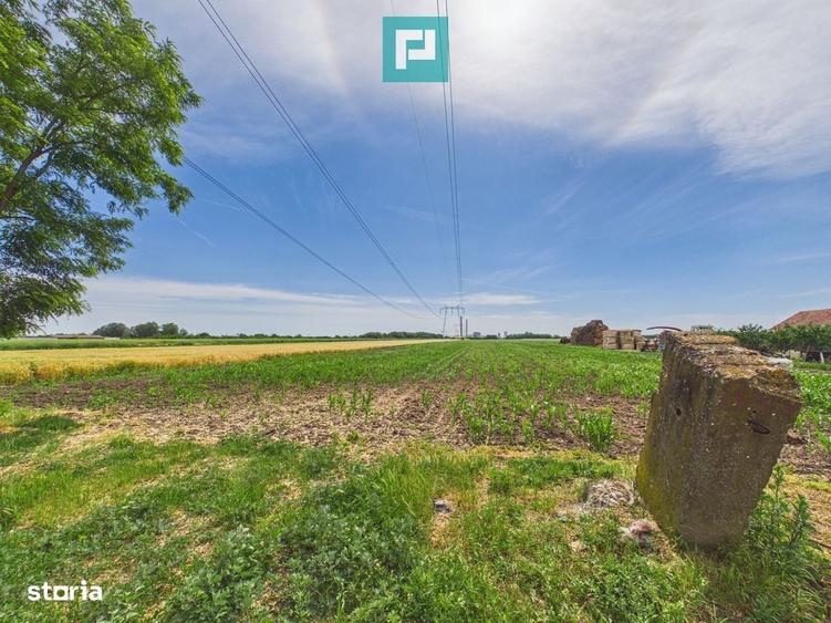 Teren extravilan in suprafata de 10.000 mp, Arad - 4