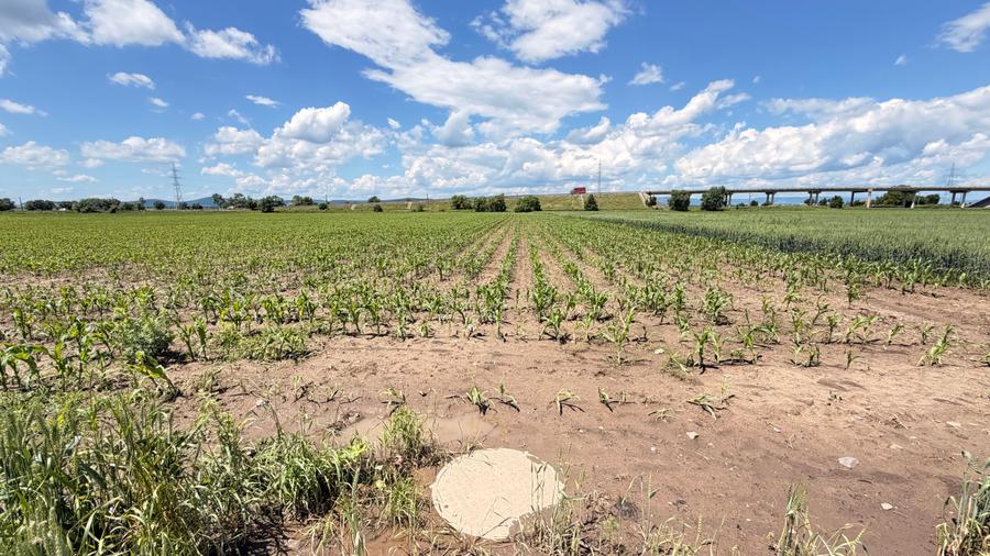 Teren agricol extravilan de 11671 mp, în Ozun