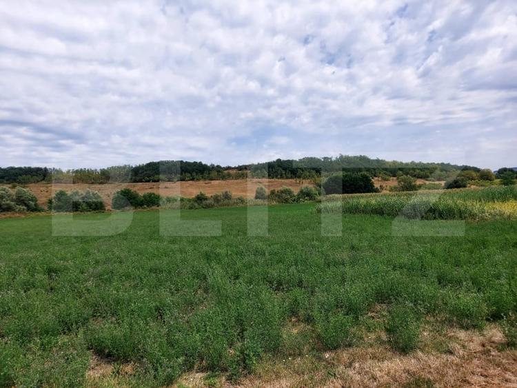 Teren agricol intravilan de 27500 mp, în Răscruci