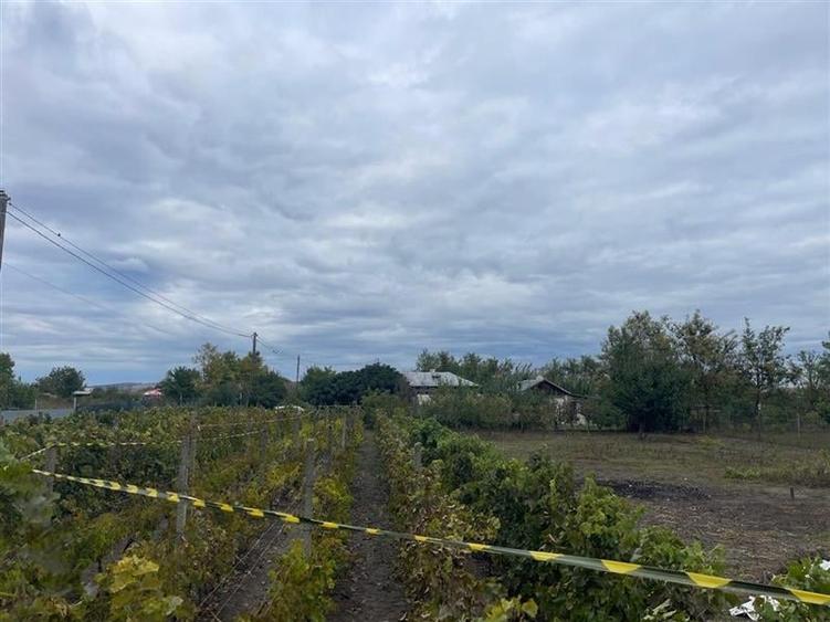 Teren Construcții intravilan de 1000 mp, în Iazurile