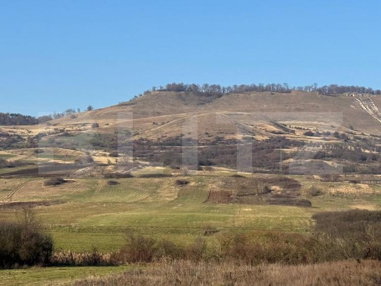 Teren agricol extravilan de 13374 mp, în Călan