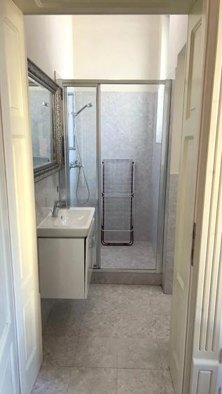 Apartament Pets Unirii Victoriei Libertatii Centru Marasti Bastion Cetate Medicina Take Politehnica - 4
