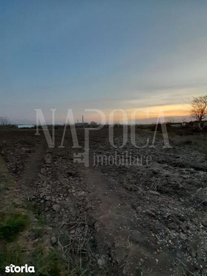 Teren de 523 mp, în Oncea