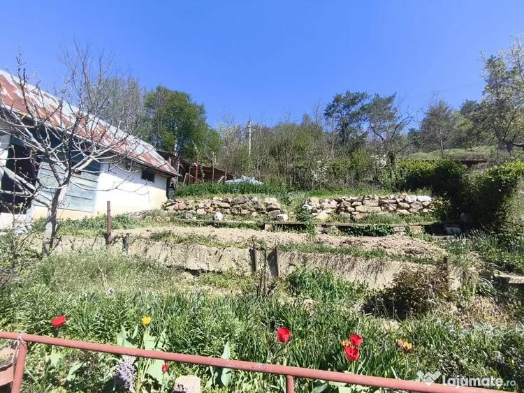 Casă cu 3 camere cu Teren 300 Mp în Muncitoresc
