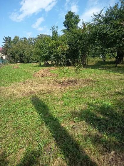 Teren de vanzare in Brebu 1.206 mp - 8
