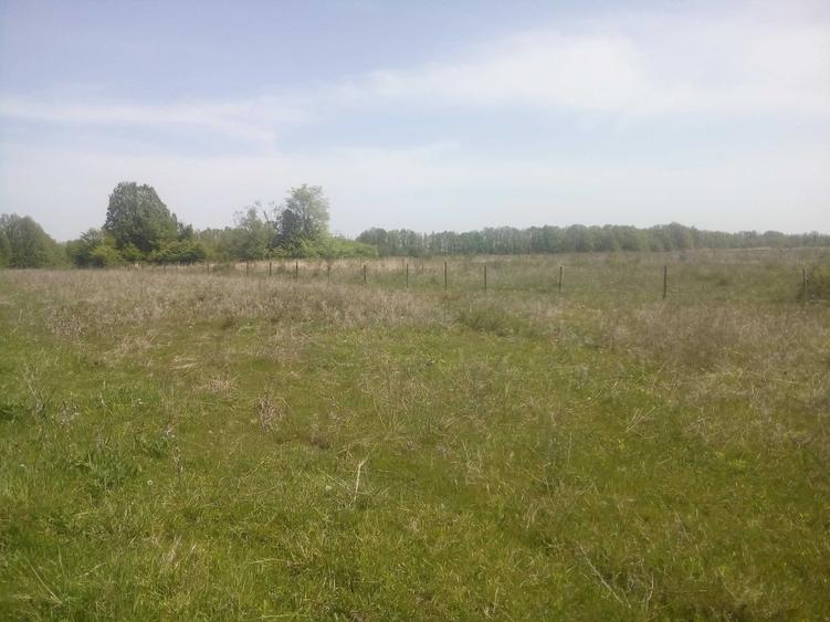 Teren de 50000 mp, în Făgețelu