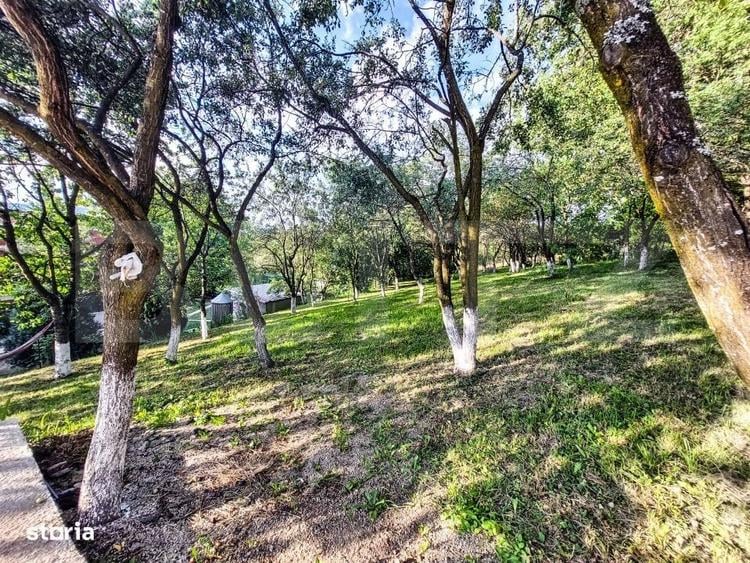 Casă cu 3 camere în Vechea