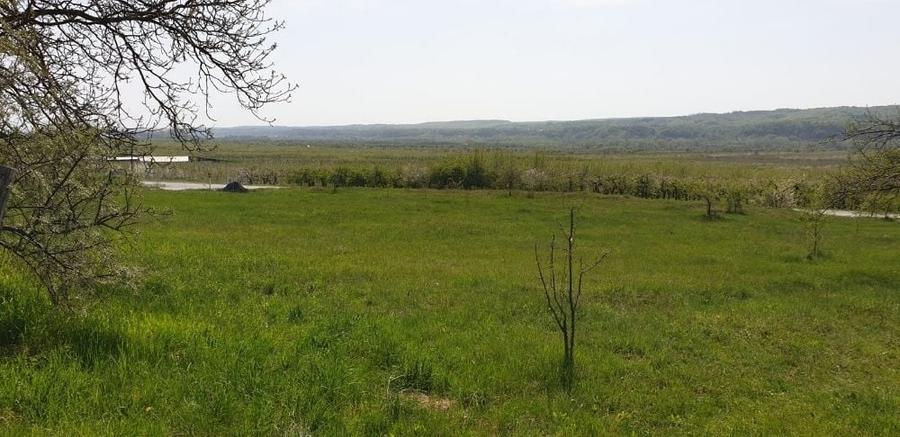 Teren de 2298 mp, în Izvoarele