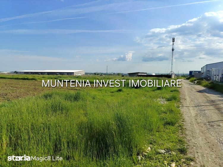 Teren de 11197 mp, în Moșoaia