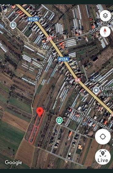 Teren de 1500 mp, în Adunații-Copăceni