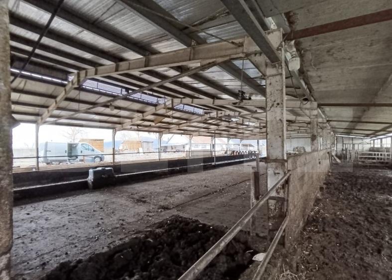 Spațiu industrial, de 6,600 mp, în Valea Lungă