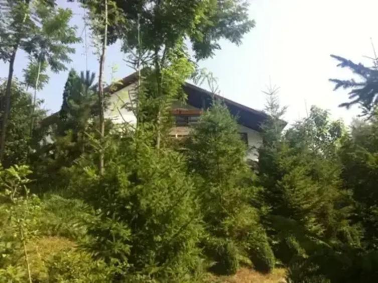 Casă cu 6 camere cu Teren 6200 Mp în Provița de Jos