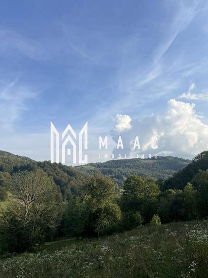 Teren Construcții intravilan de 14242 mp, în Sohodol