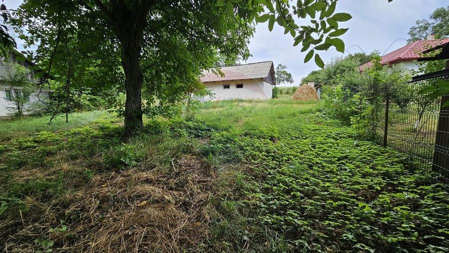 Casă individuală cu 2 camere cu Teren 9200 Mp în Pădureni (Șendriceni)