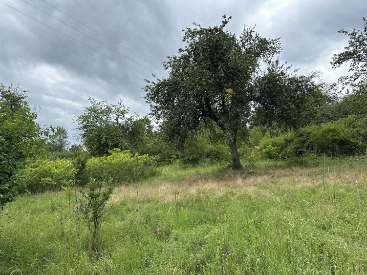 2 case, teren 7500mp, Batuta, Arad - 2