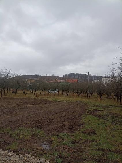 Teren Construcții intravilan de 455 mp, în Periferie