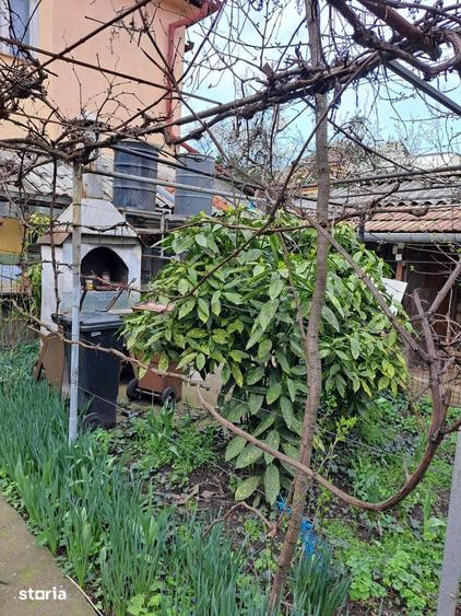 Casa P+E din caramida in Io?ia cu 3 camere, bucatarie - 2