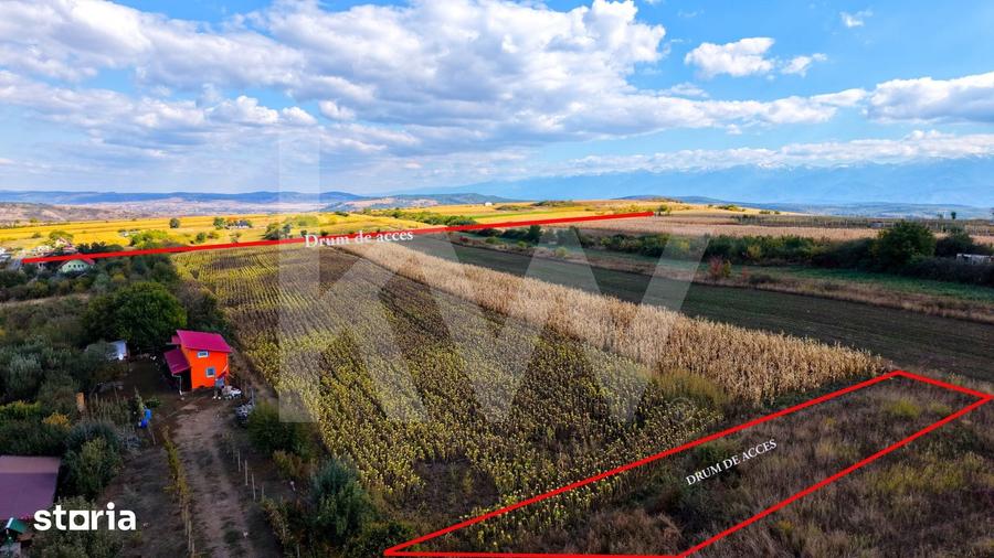 Teren de 5000 mp, în Câineni