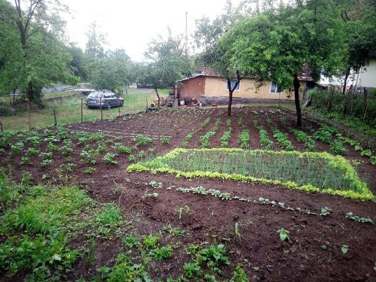 Casă cu 2 camere cu Teren 2763 Mp în Hălmagiu