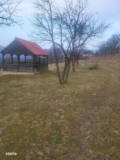 Teren de 5976 mp, în Moisei