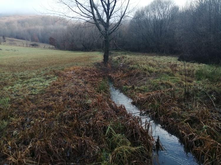 Teren de 1500 mp, în Săcădat