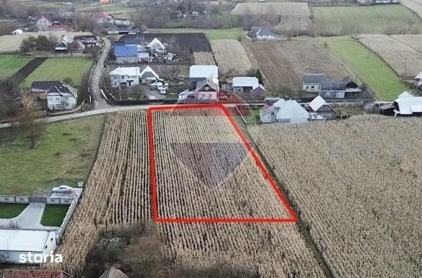 Teren de 3500 mp, în Frătăuții Noi
