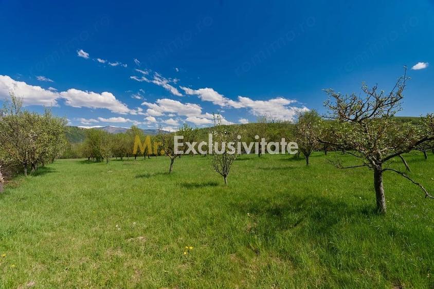 Teren de 9400 mp, în Valea Mare