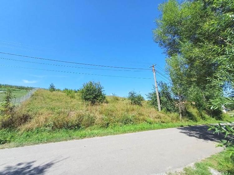 Teren intravilan de 2000 mp, în Ciurila