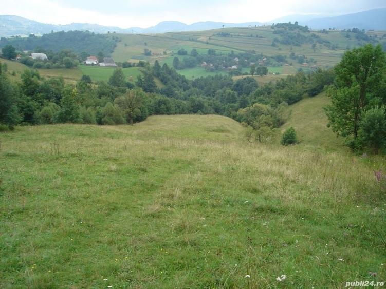 Teren de 25500 mp, în Vișagu