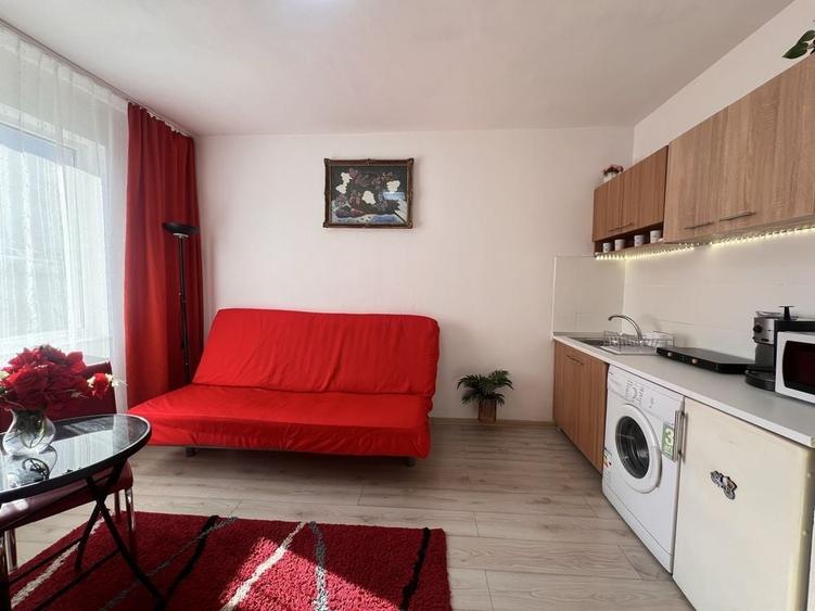 Garsonieră în Dosu Bricii