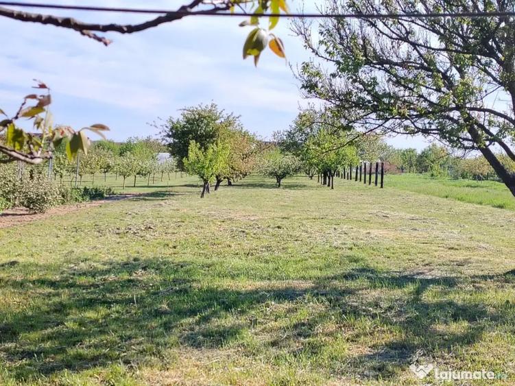 Casă cu 1 camere cu Teren 1895 Mp în Haieu