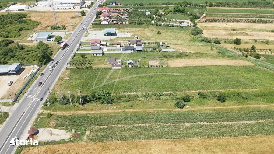 Teren cu potential de dezvoltare 7427 mp in Argeselu, Maracineni, j - 6