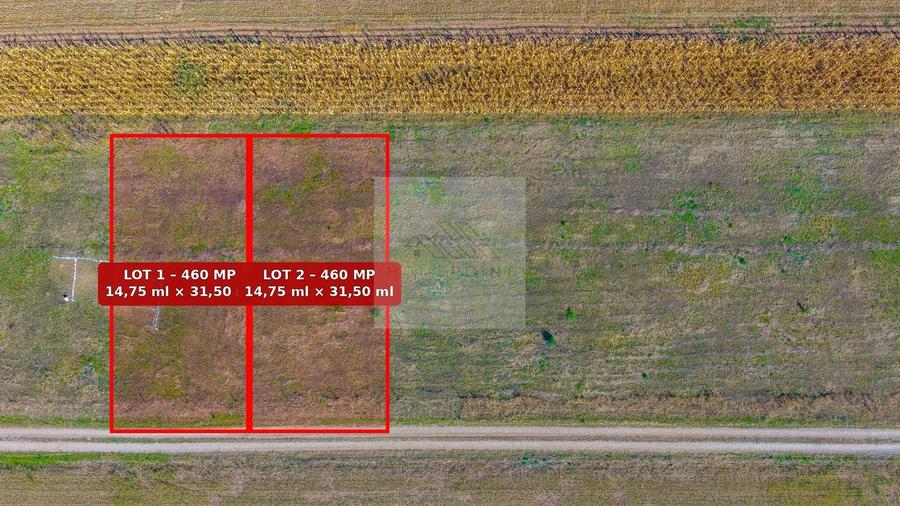 Teren Construcții intravilan de 460 mp, în Tărlungeni