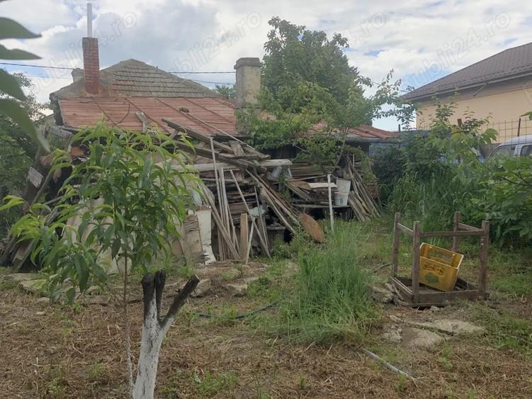 Teren intravilan cu casa batraneasca in Caldararu Ilfov - 6