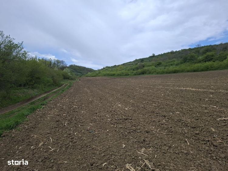 Parcele de teren intravilan cu utilitati-Rasinari-Sibiu - 5